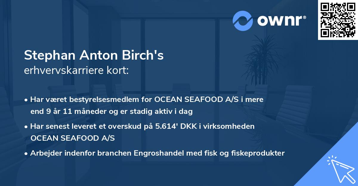 Stephan Anton Birch's erhvervskarriere kort