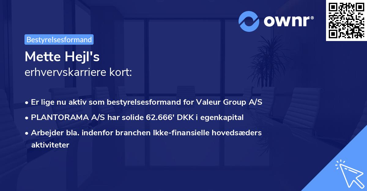 Mette Hejl's erhvervskarriere kort