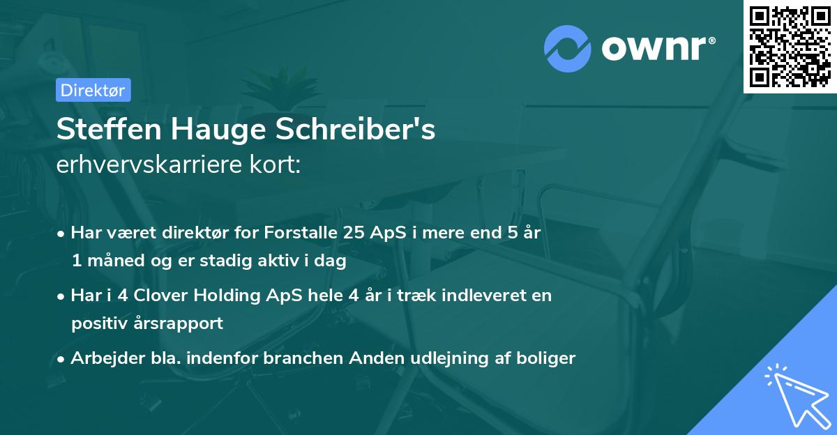 Steffen Hauge Schreiber's erhvervskarriere kort