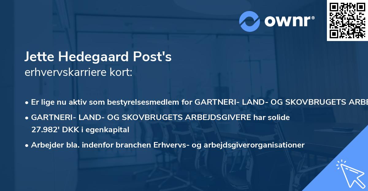 Jette Hedegaard Post's erhvervskarriere kort