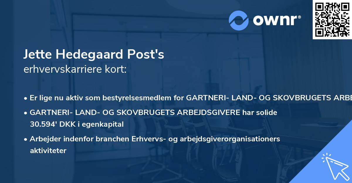 Jette Hedegaard Post's erhvervskarriere kort