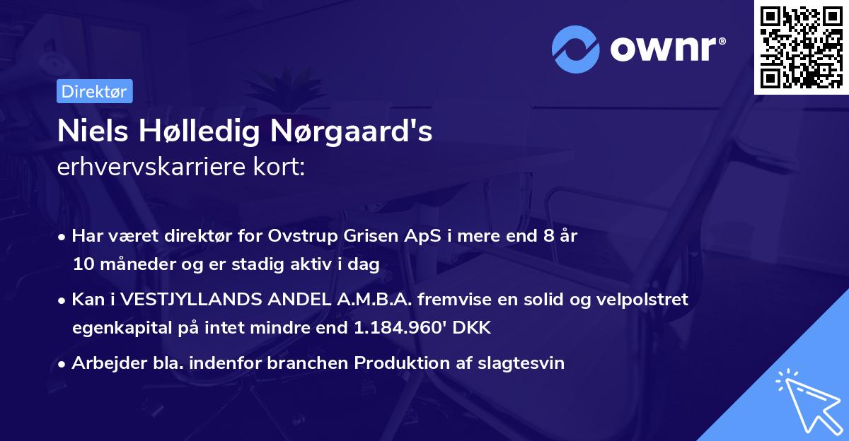 Niels Hølledig Nørgaard's erhvervskarriere kort