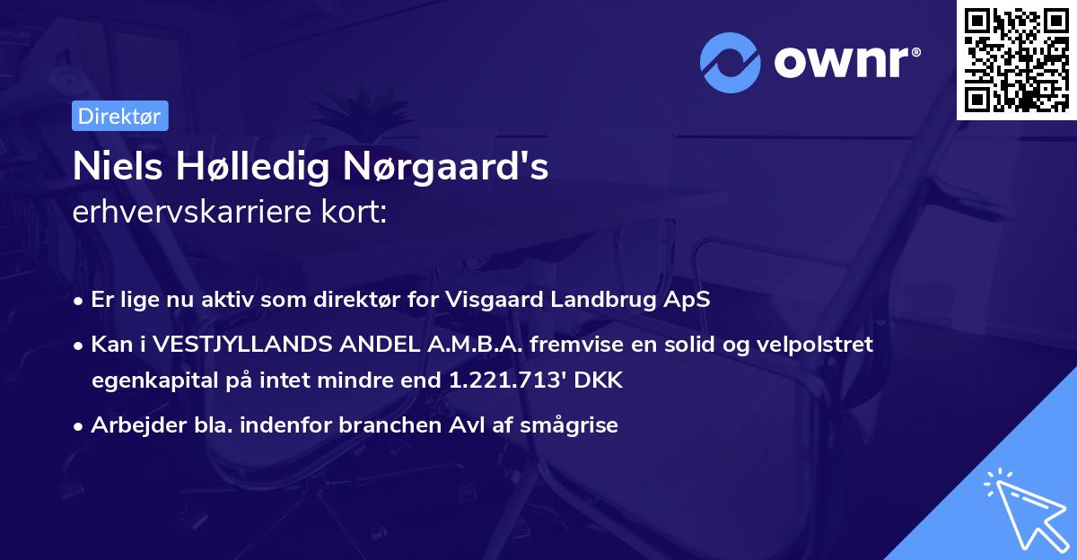 Niels Hølledig Nørgaard's erhvervskarriere kort