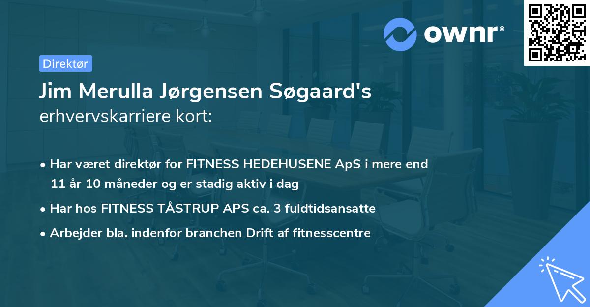 Jim Merulla Jørgensen Søgaard's erhvervskarriere kort