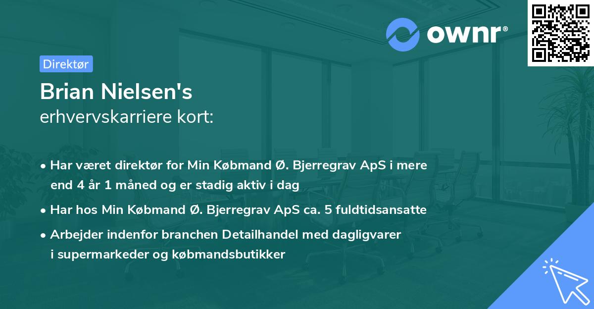 Brian Nielsen's erhvervskarriere kort