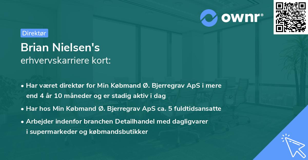 Brian Nielsen's erhvervskarriere kort