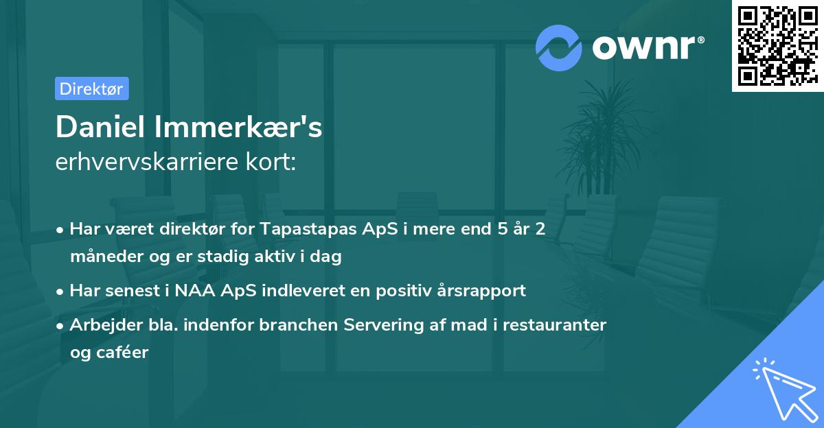 Daniel Immerkær's erhvervskarriere kort