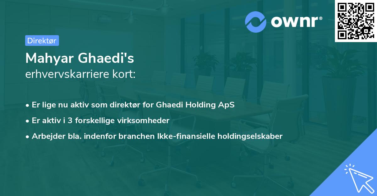 Mahyar Ghaedi's erhvervskarriere kort