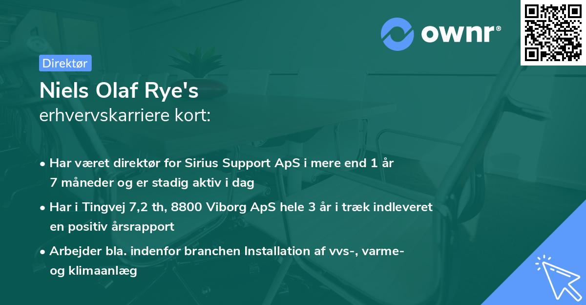 Niels Olaf Rye's erhvervskarriere kort