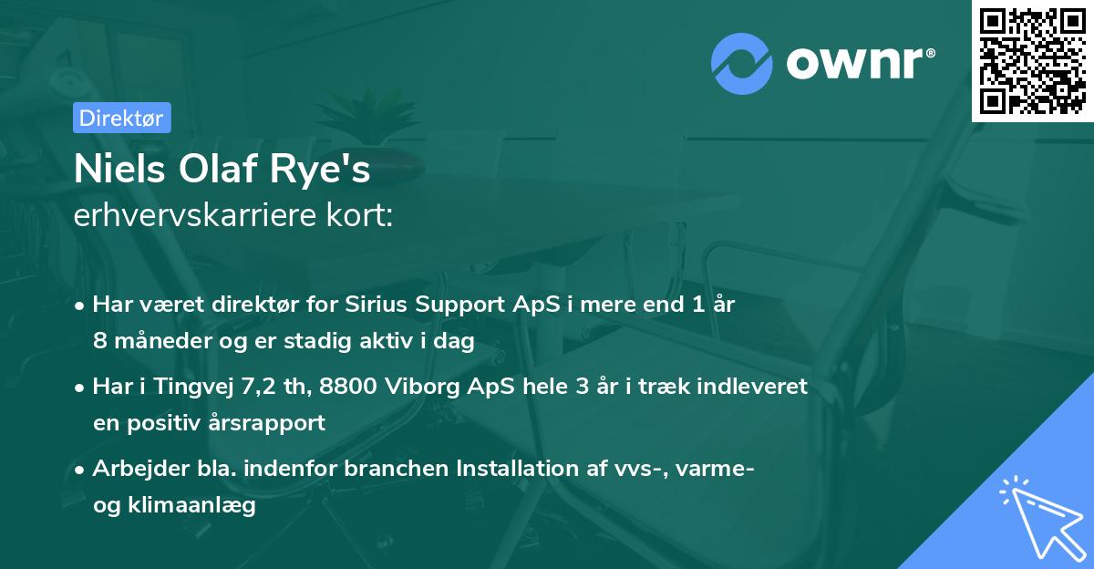 Niels Olaf Rye's erhvervskarriere kort