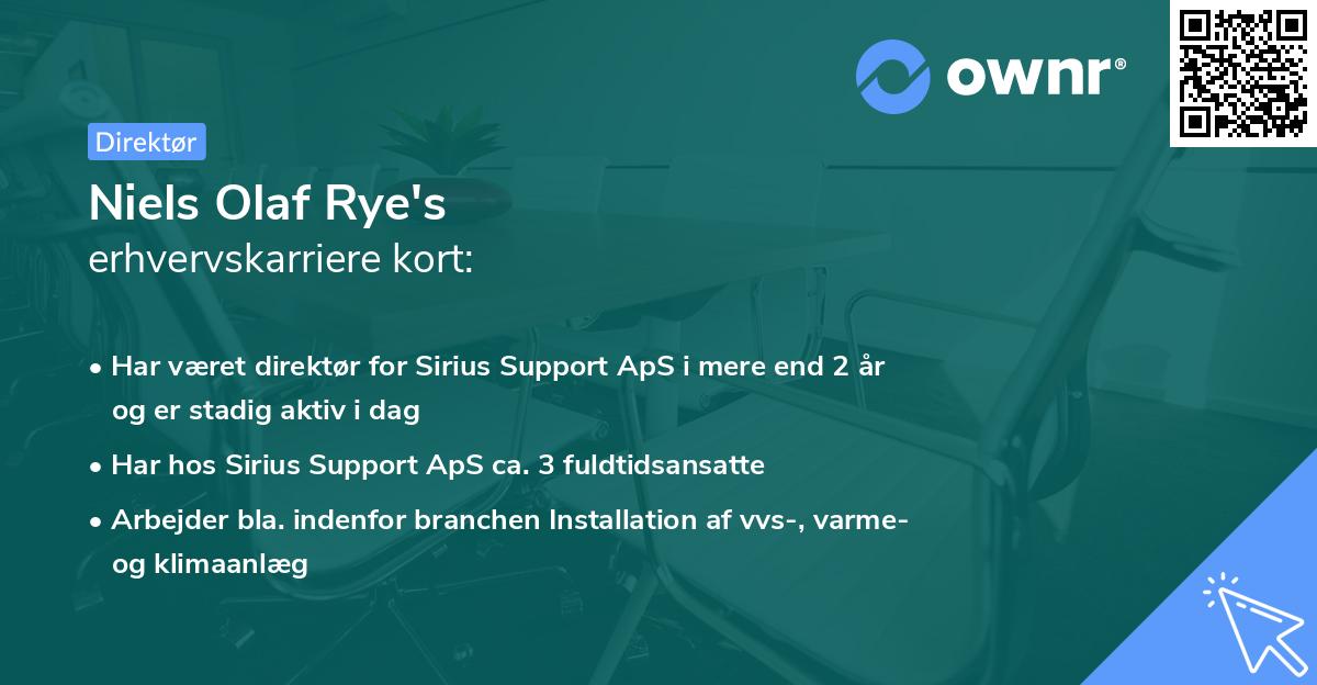 Niels Olaf Rye's erhvervskarriere kort