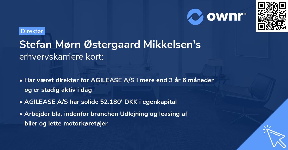 Stefan Mørn Østergaard Mikkelsen's erhvervskarriere kort