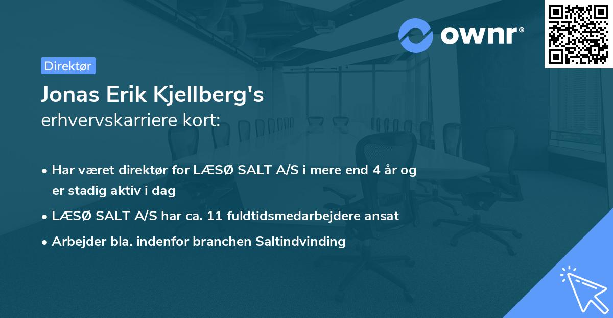 Jonas Erik Kjellberg's erhvervskarriere kort