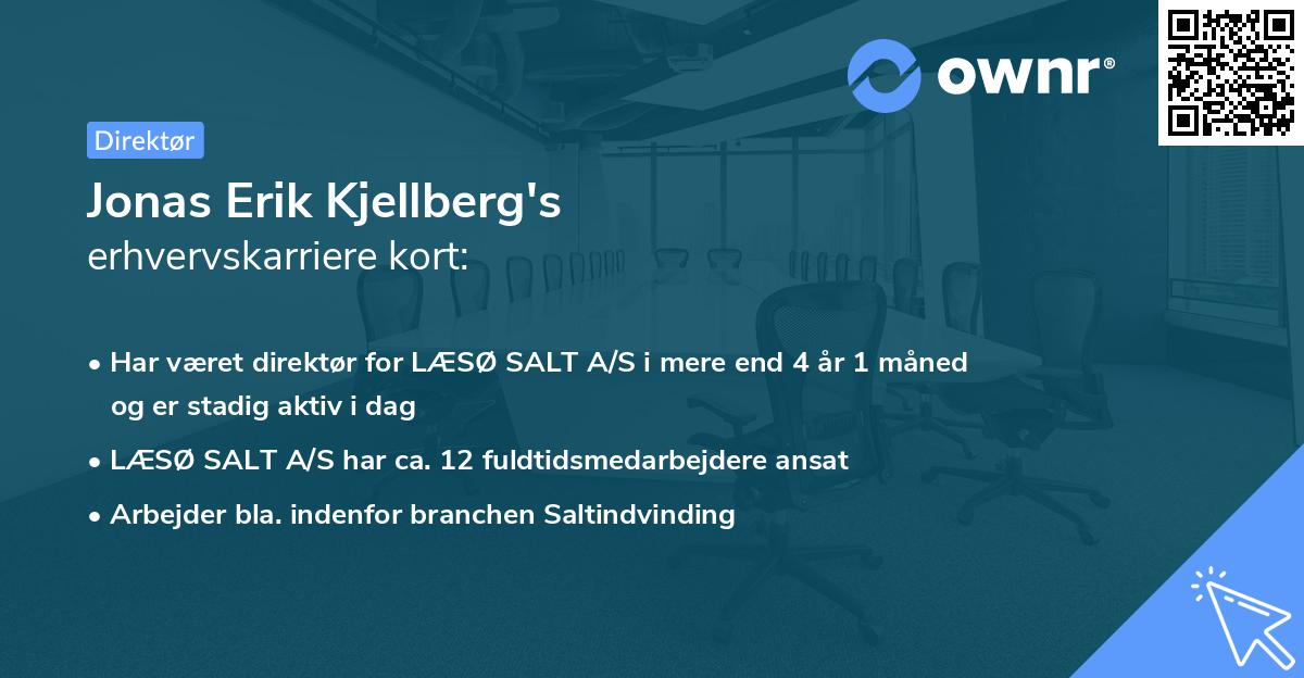 Jonas Erik Kjellberg's erhvervskarriere kort