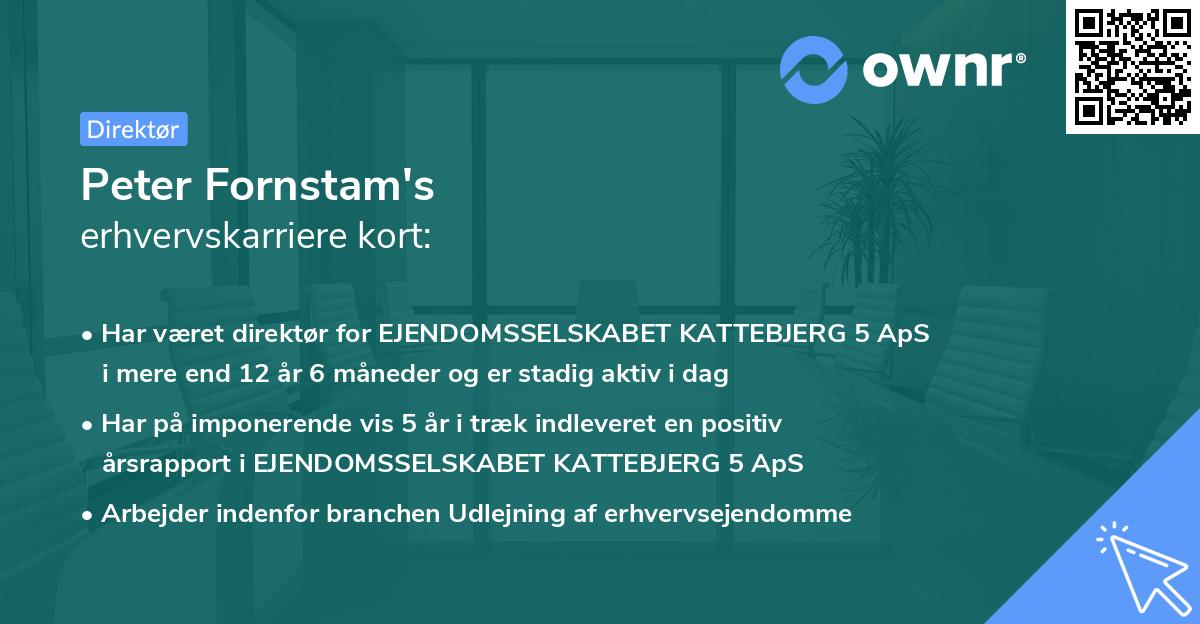 Peter Fornstam's erhvervskarriere kort