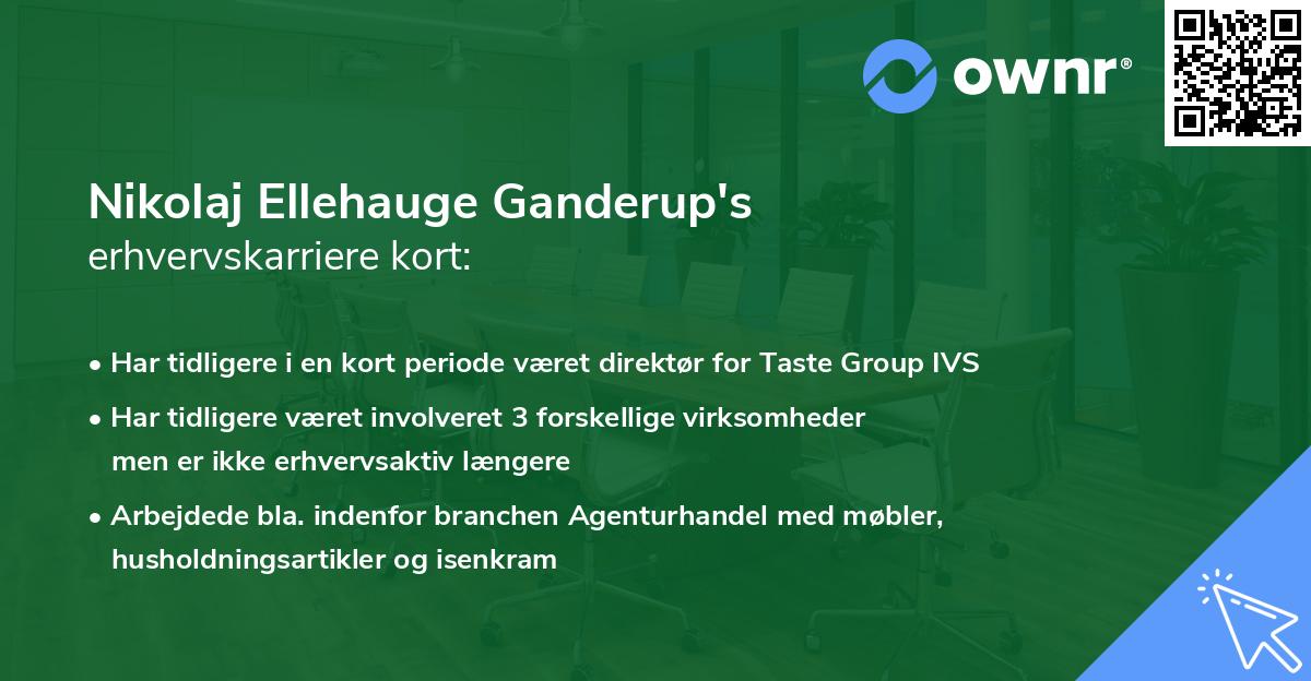 Nikolaj Ellehauge Ganderup's erhvervskarriere kort