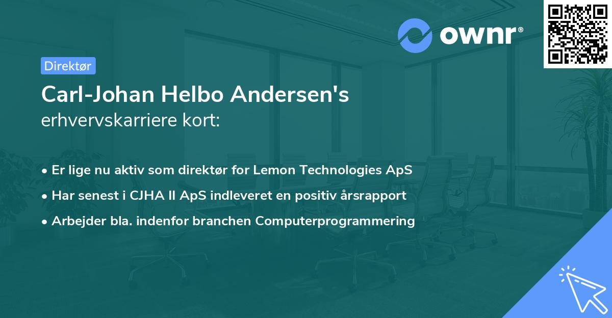 Carl-Johan Helbo Andersen's erhvervskarriere kort