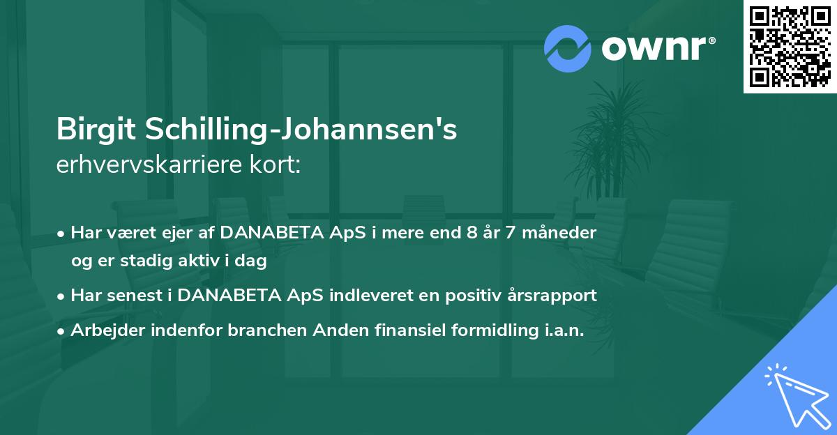 Birgit Schilling-Johannsen's erhvervskarriere kort