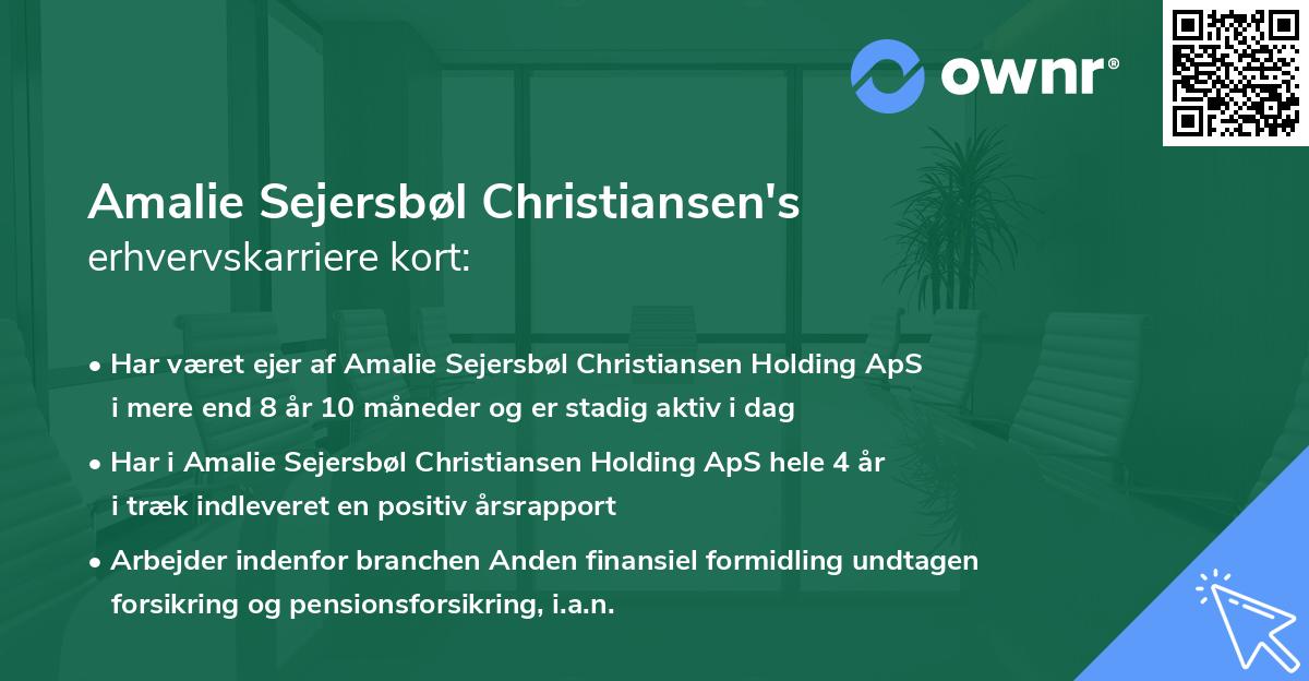 Amalie Sejersbøl Christiansen's erhvervskarriere kort