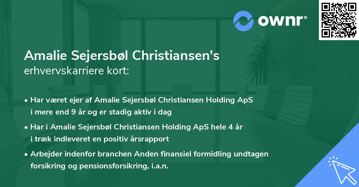 Amalie Sejersbøl Christiansen's erhvervskarriere kort