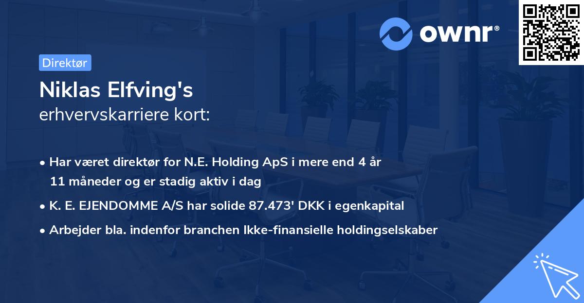 Niklas Elfving's erhvervskarriere kort