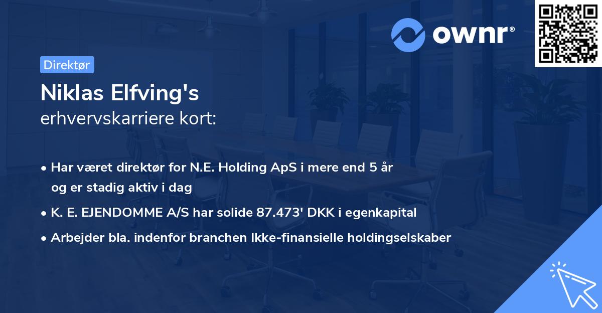 Niklas Elfving's erhvervskarriere kort