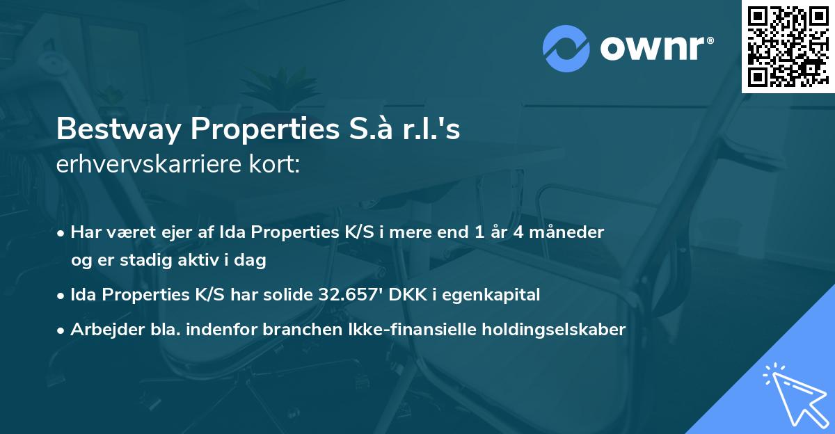 Bestway Properties S.à r.l.'s erhvervskarriere kort