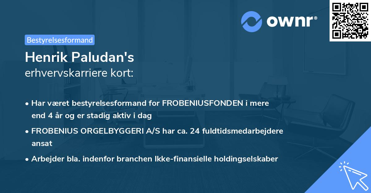 Henrik Paludan's erhvervskarriere kort