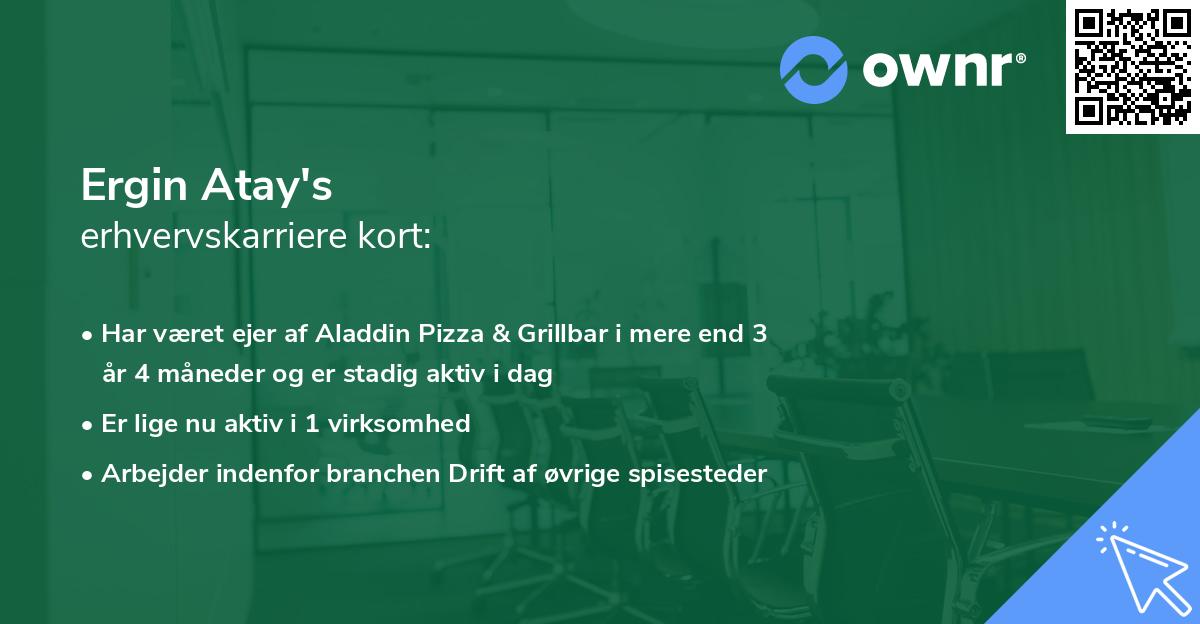 Ergin Atay's erhvervskarriere kort
