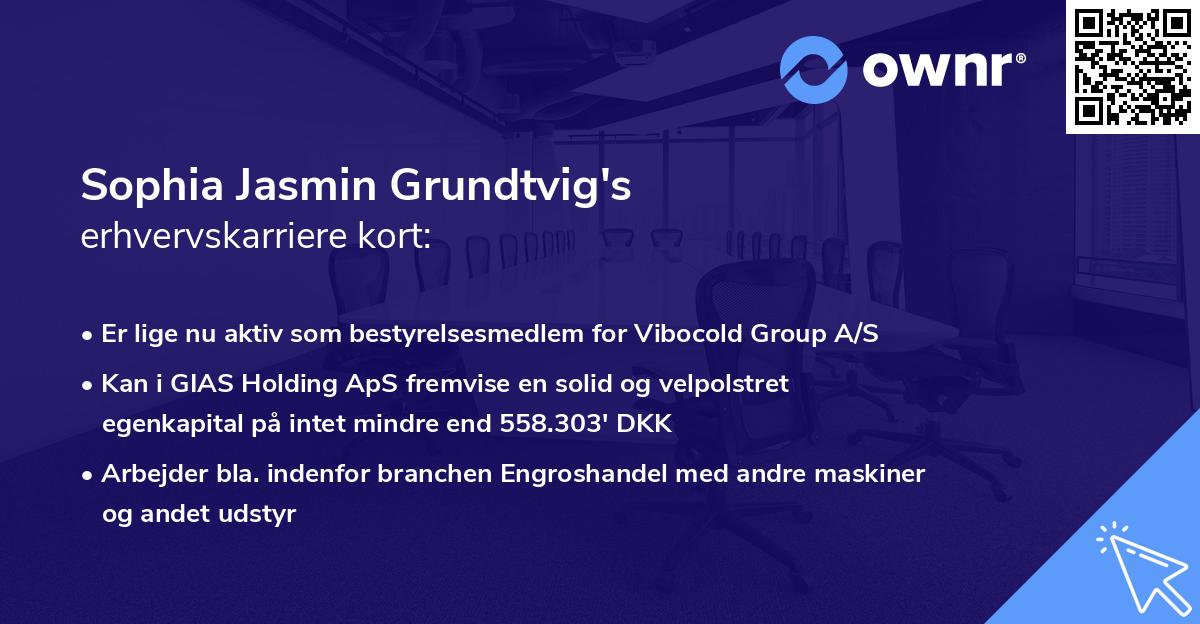 Sophia Jasmin Grundtvig's erhvervskarriere kort