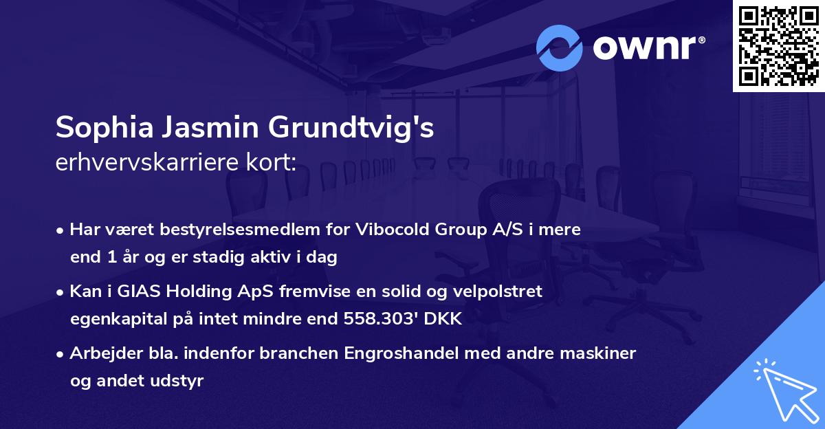 Sophia Jasmin Grundtvig's erhvervskarriere kort