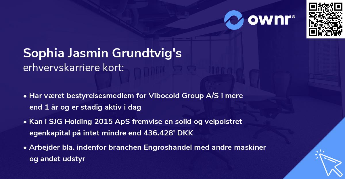 Sophia Jasmin Grundtvig's erhvervskarriere kort