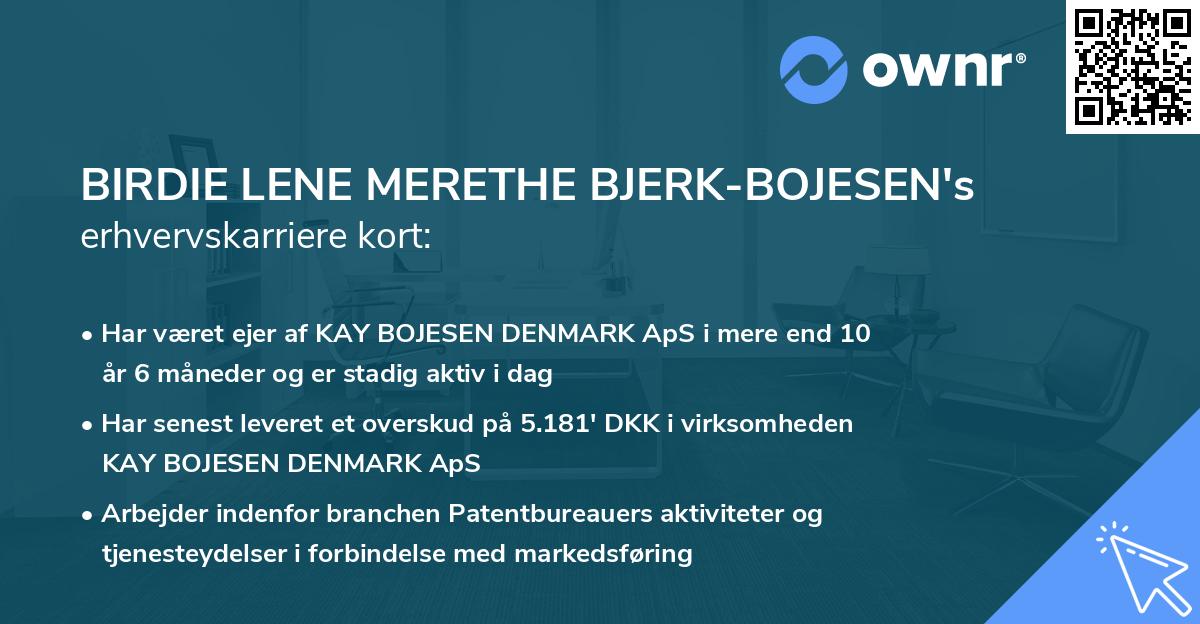 BIRDIE LENE MERETHE BJERK-BOJESEN's erhvervskarriere kort