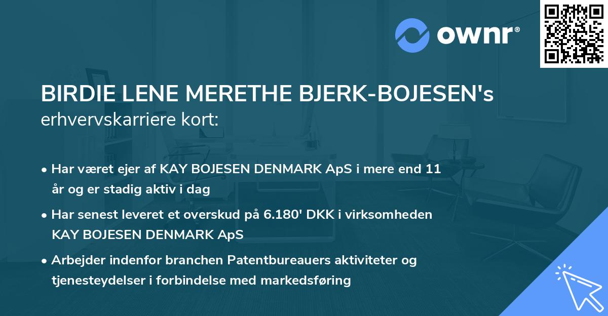 BIRDIE LENE MERETHE BJERK-BOJESEN's erhvervskarriere kort