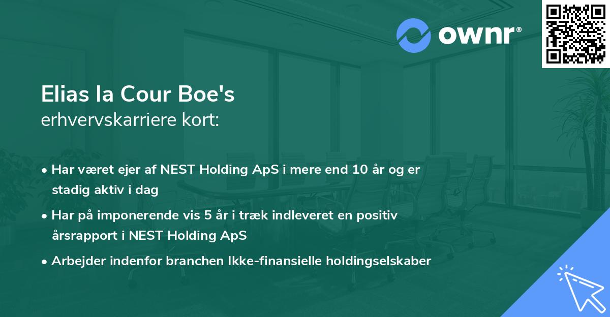 Elias la Cour Boe's erhvervskarriere kort