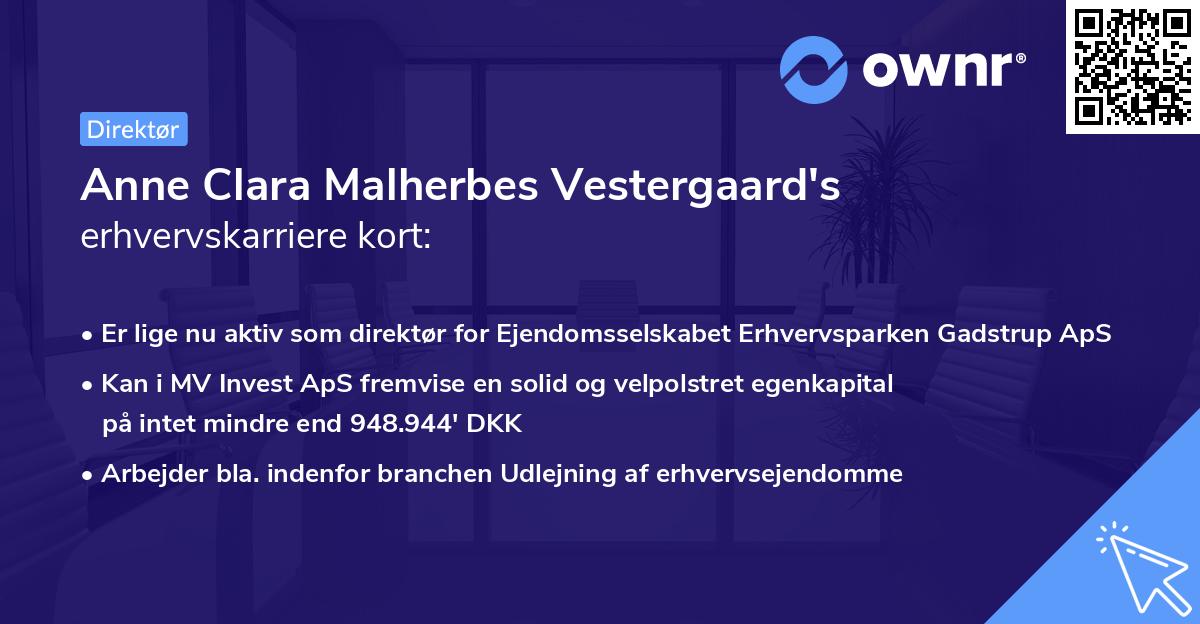 Anne Clara Malherbes Vestergaard's erhvervskarriere kort