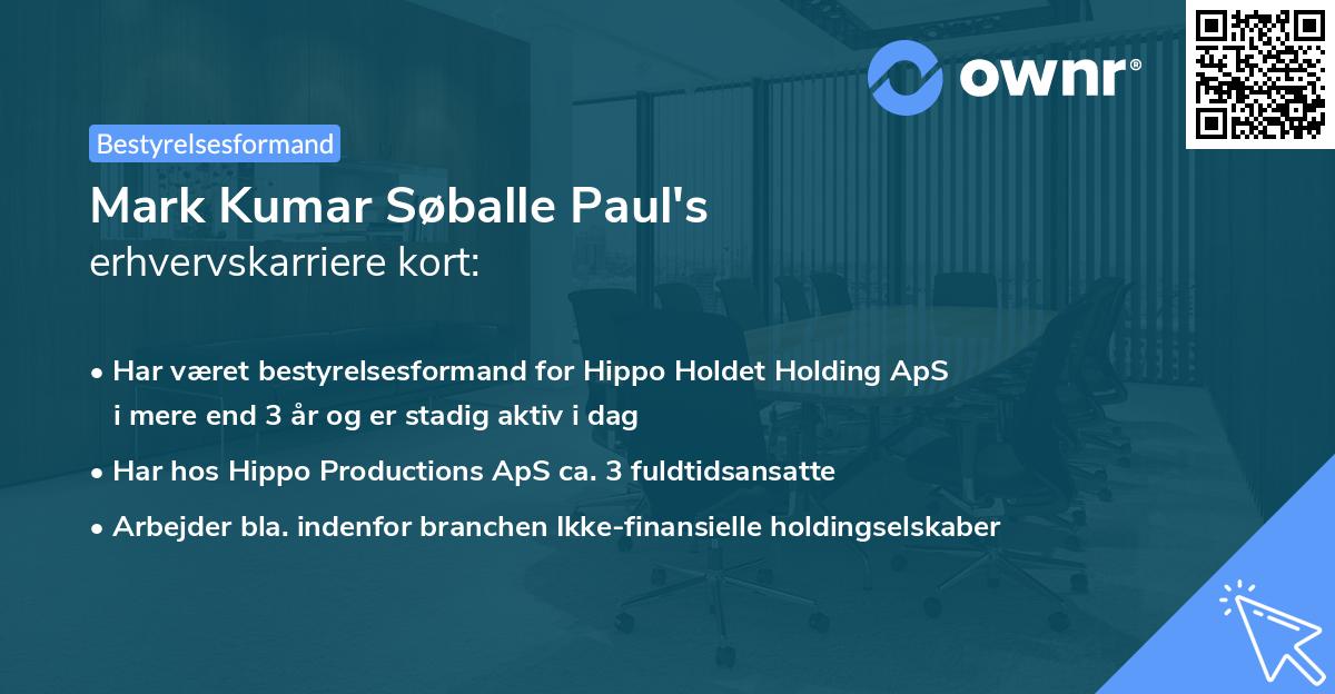 Mark Kumar Søballe Paul's erhvervskarriere kort