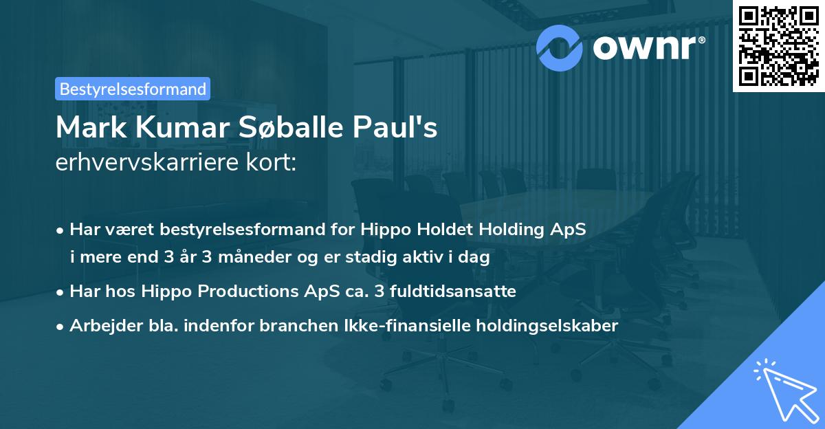Mark Kumar Søballe Paul's erhvervskarriere kort