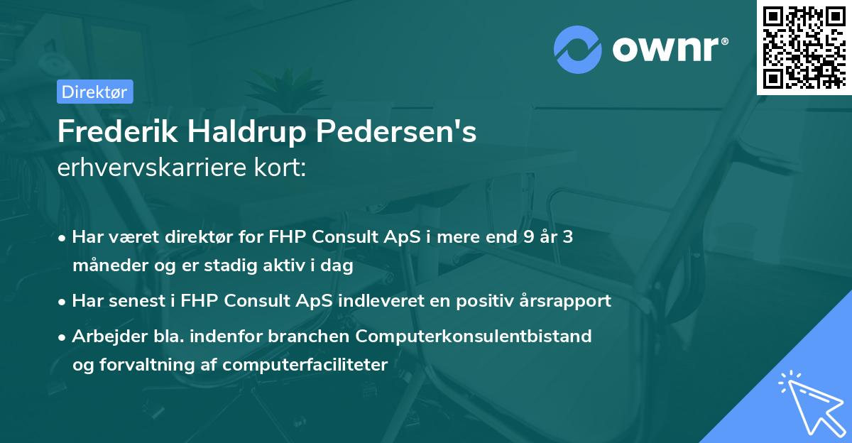 Frederik Haldrup Pedersen's erhvervskarriere kort