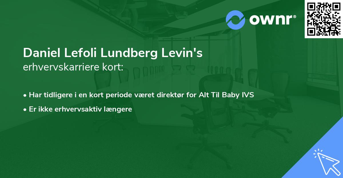 Daniel Lefoli Lundberg Levin's erhvervskarriere kort