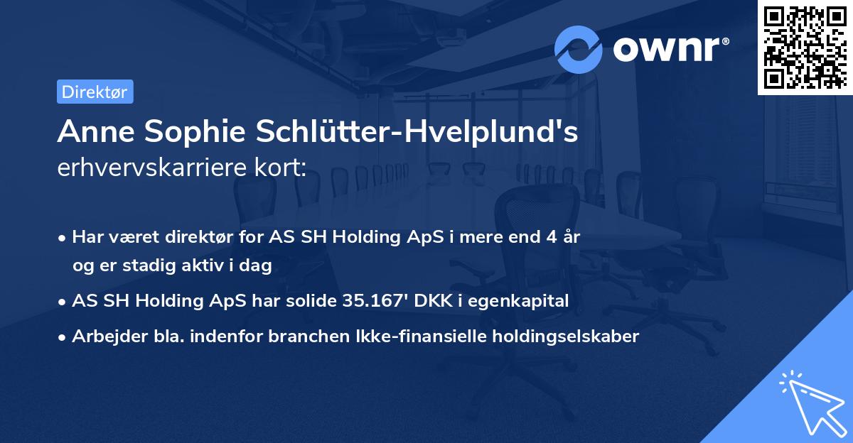 Anne Sophie Schlütter-Hvelplund's erhvervskarriere kort