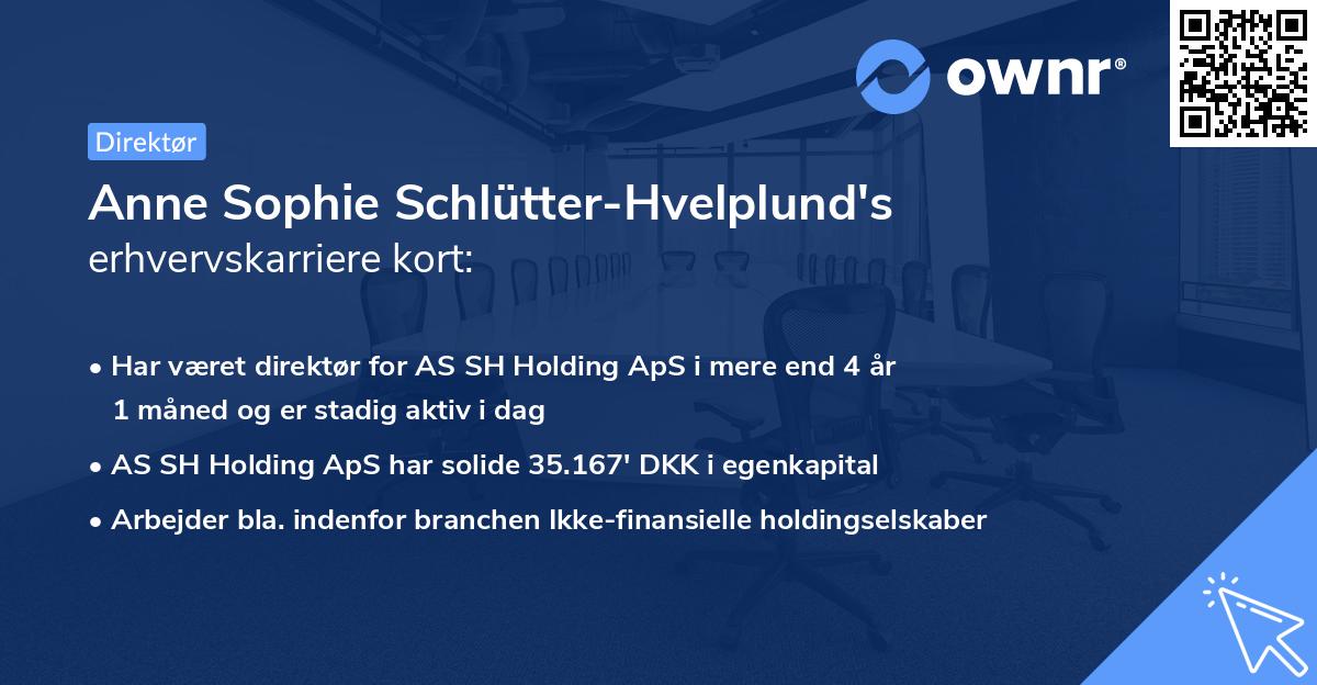Anne Sophie Schlütter-Hvelplund's erhvervskarriere kort