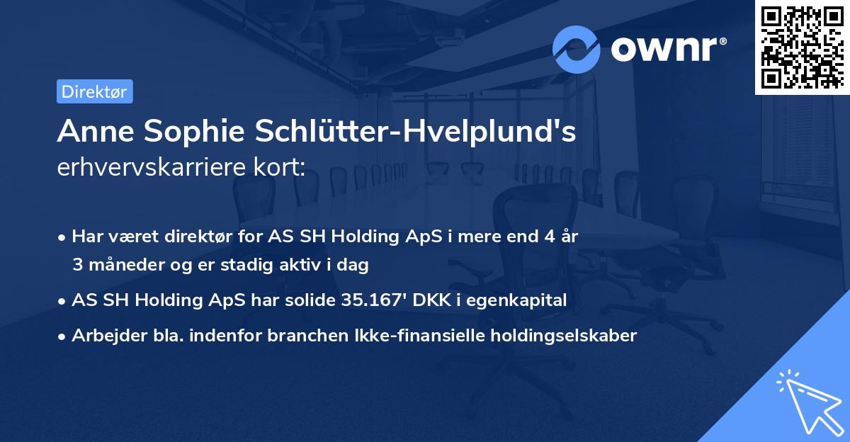 Anne Sophie Schlütter-Hvelplund's erhvervskarriere kort