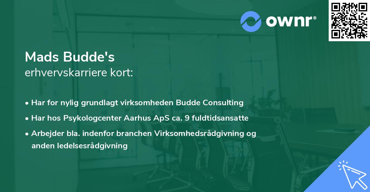 Mads Budde's erhvervskarriere kort