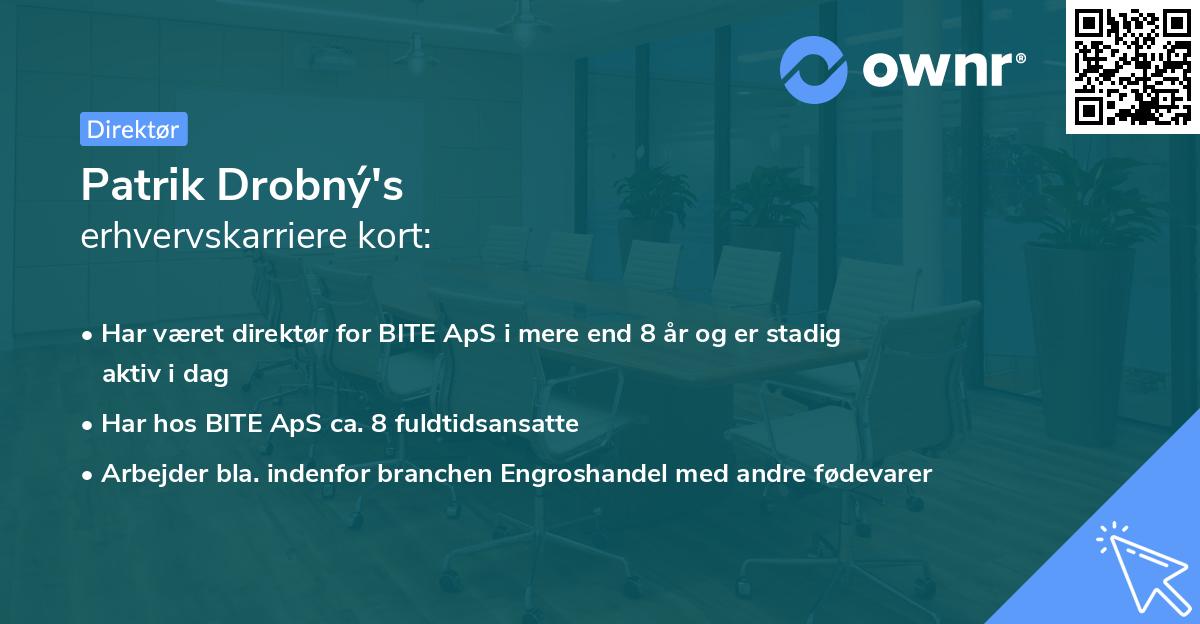 Patrik Drobný's erhvervskarriere kort