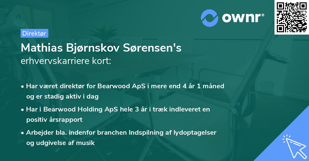 Mathias Bjørnskov Sørensen's erhvervskarriere kort