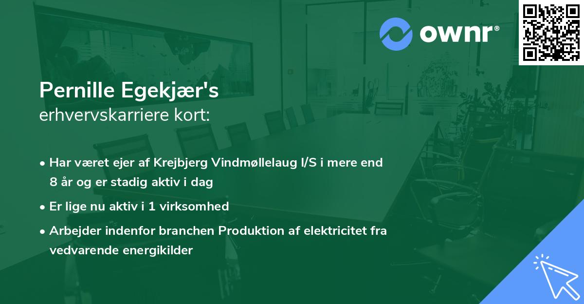 Pernille Egekjær's erhvervskarriere kort