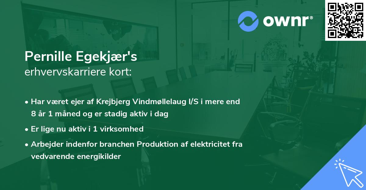 Pernille Egekjær's erhvervskarriere kort