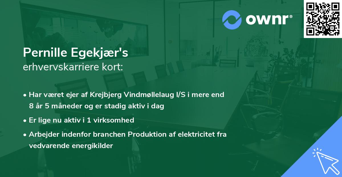 Pernille Egekjær's erhvervskarriere kort