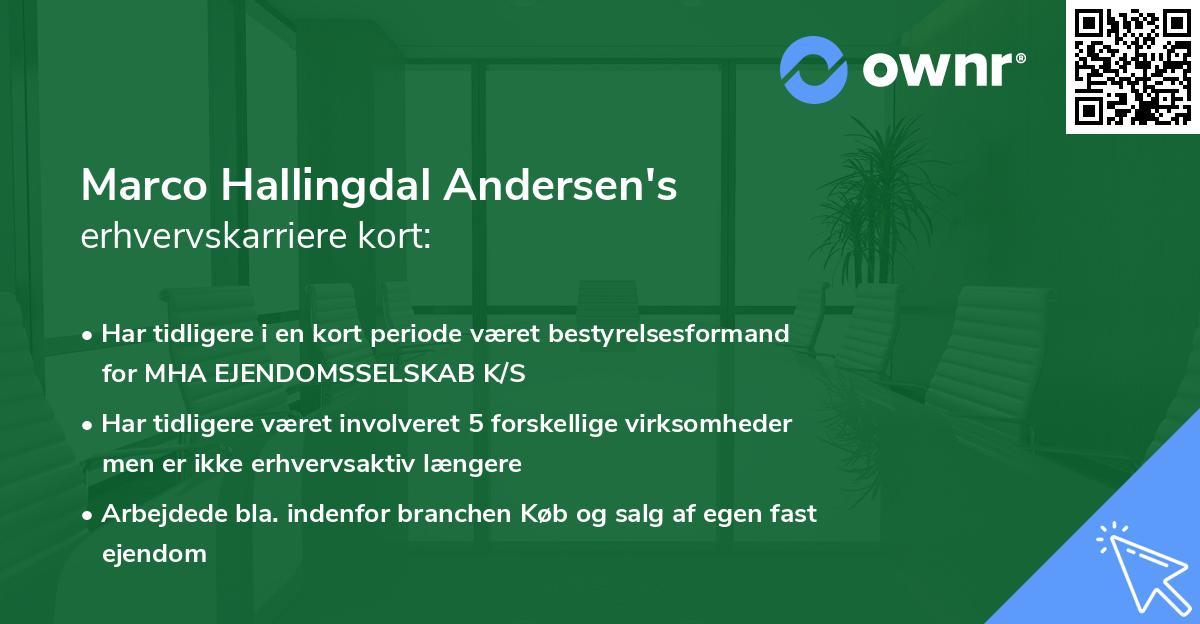Marco Hallingdal Andersen's erhvervskarriere kort